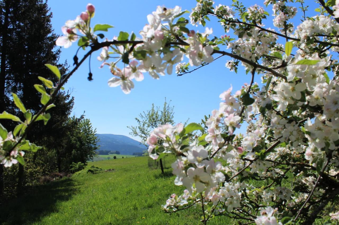 Moderne Ferienwohnung Mit Eigenem Garten Und Traumhaften Blick Wilhelmsthal Esterno foto